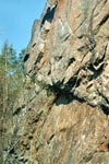 Тиурулла